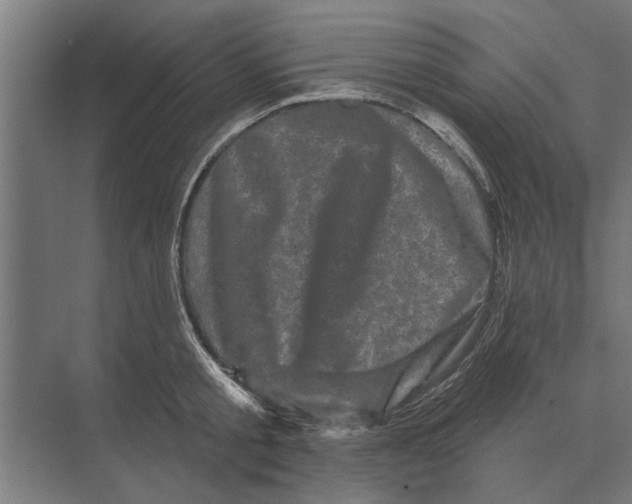 X0000074010805200609181833