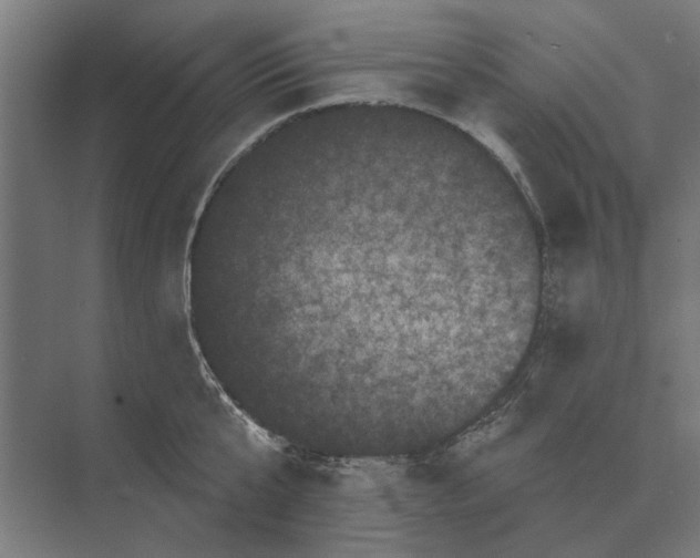 X0000074010807200609181833