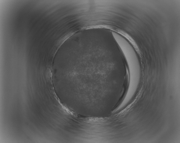 X0000074010809200609181833