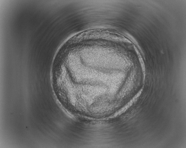 X0000074010811200609181832