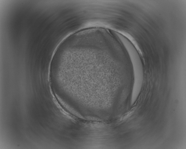 X0000074010815200609181832