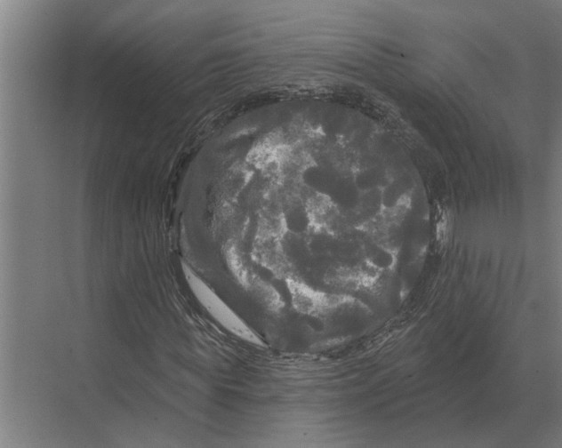 X0000074010819200609181832