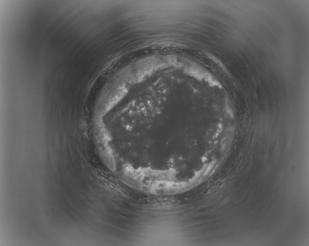 X0000074010823200609181832