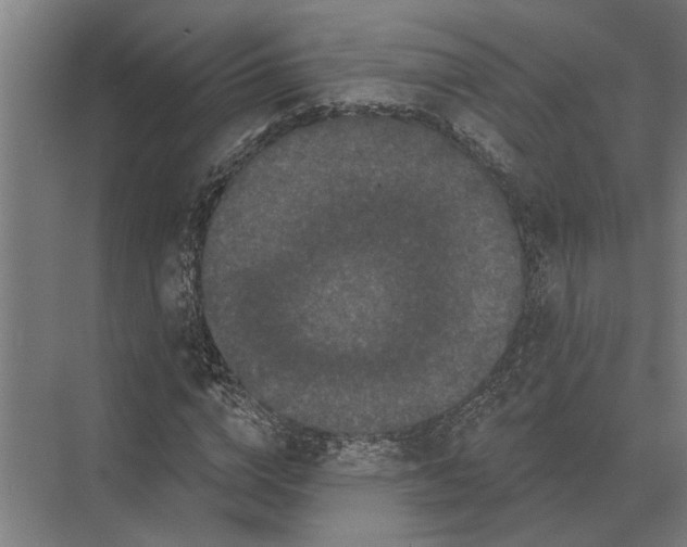 X0000074010824200609181832