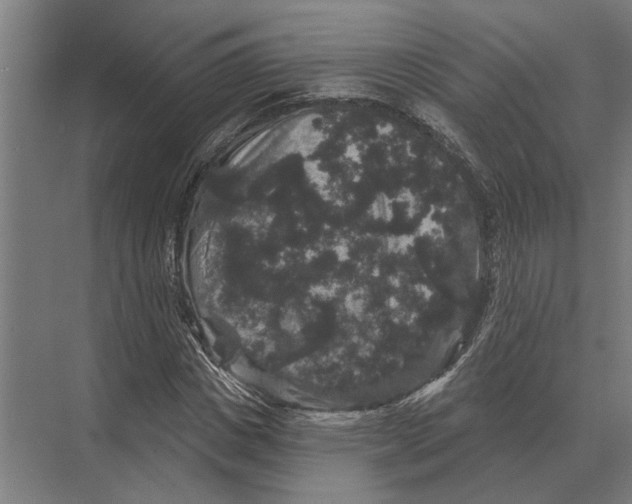 X0000074010825200609181832