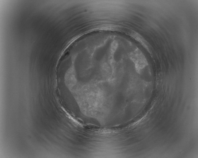 X0000074010829200609181832