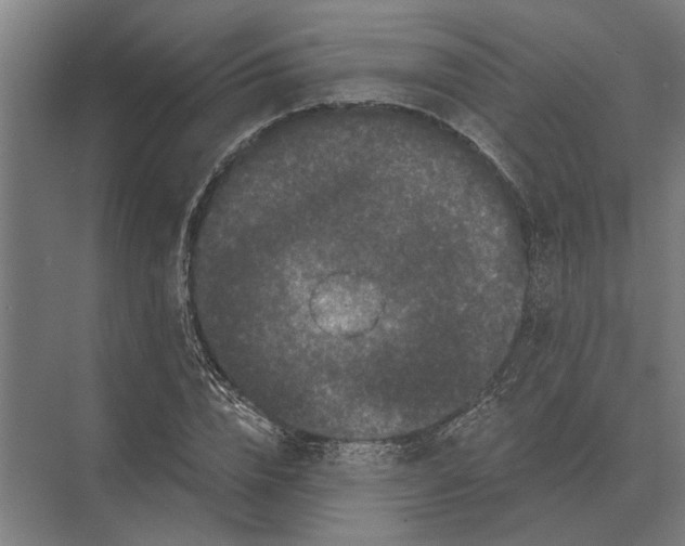 X0000074010832200609181832