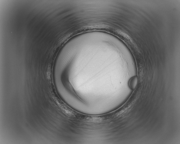 X0000074010833200609181832