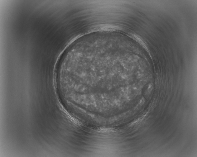 X0000074010835200609181832