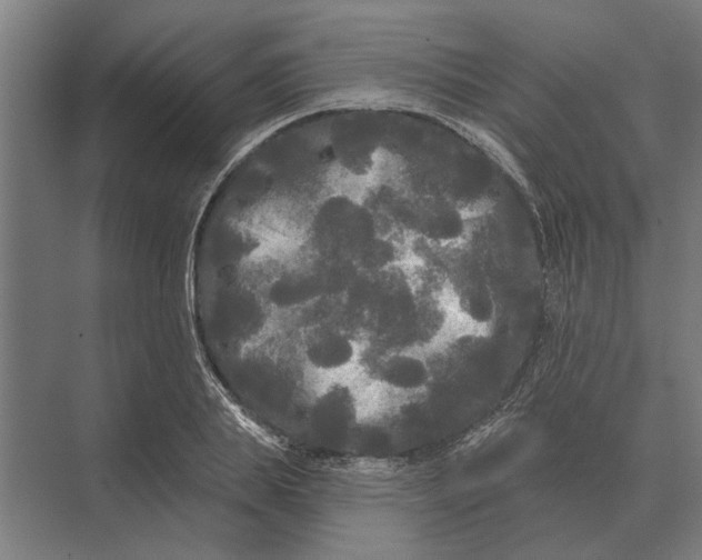 X0000074010839200609181832