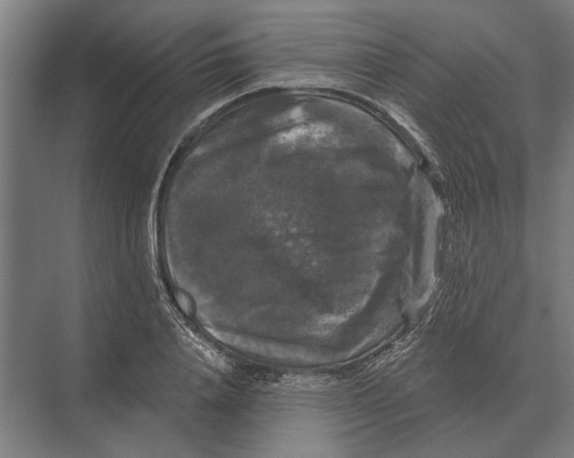 X0000074010840200609181832