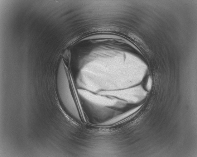 X0000074010841200609181832