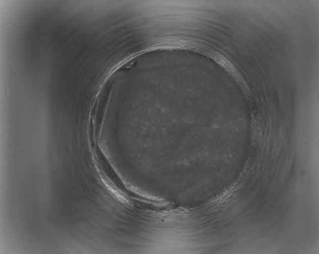 X0000074010842200609181832