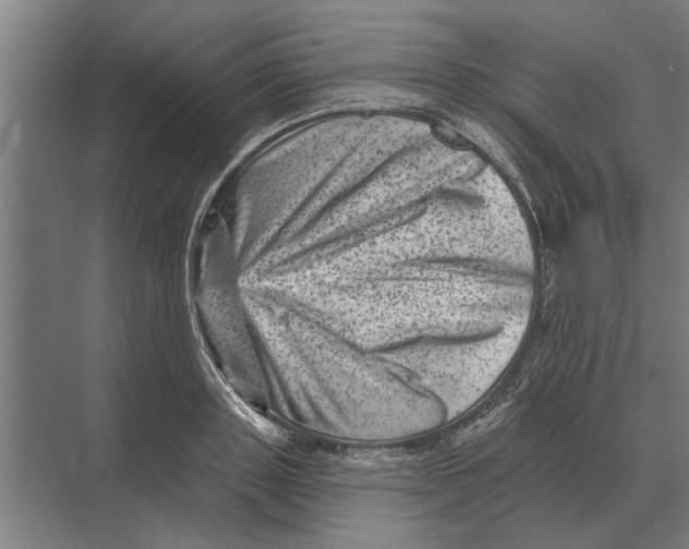 X0000074010843200609181832