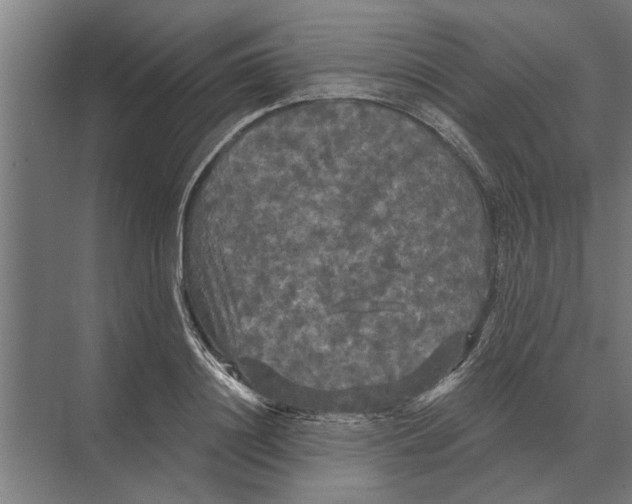 X0000074010844200609181832