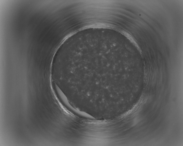 X0000074010845200609181832