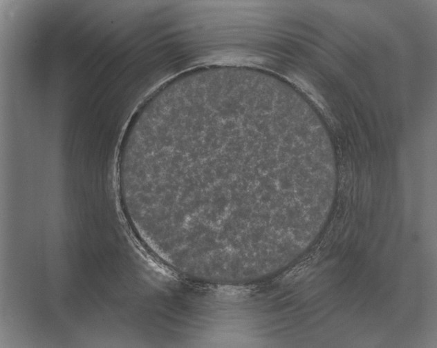 X0000074010848200609181832