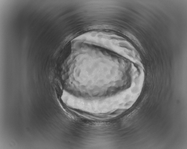 X0000074010849200609181832