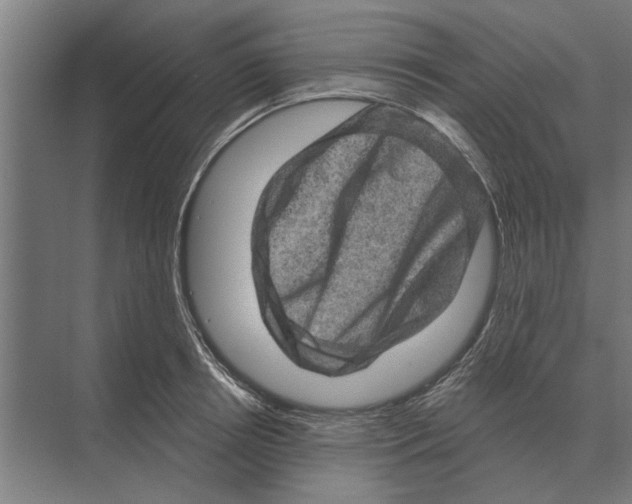 X0000074010850200609181832