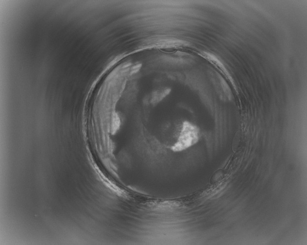 X0000074010851200609181832