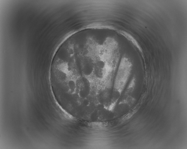 X0000074010855200609181832