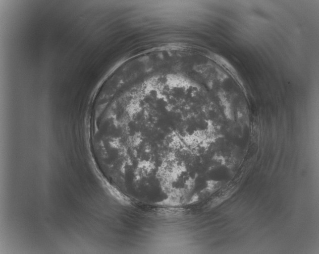 X0000074010859200609181832