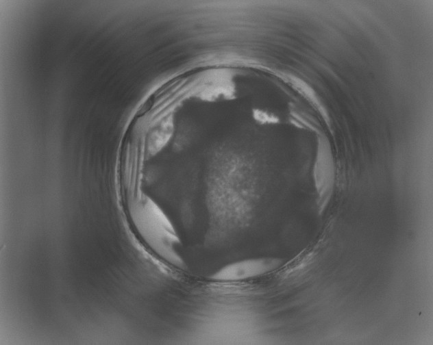 X0000074010863200609181832