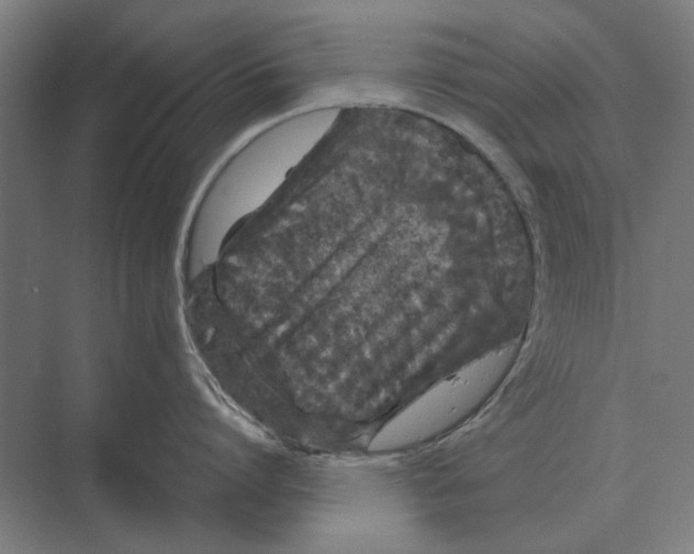 X0000074010864200609181832