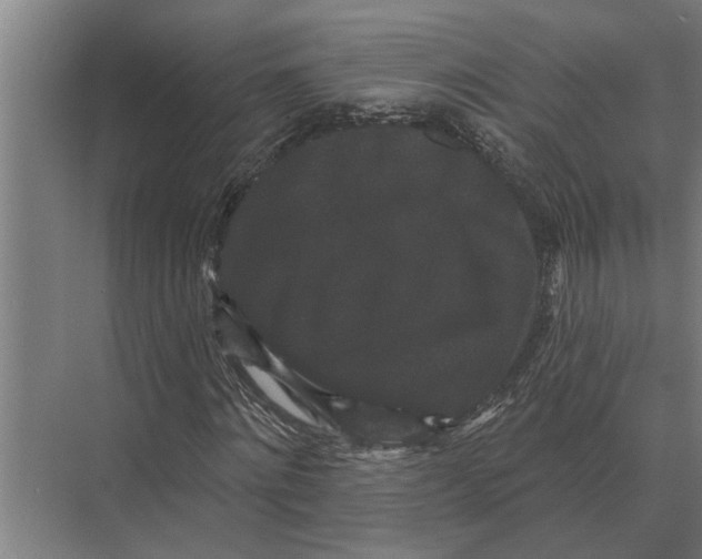 X0000074010868200609181832