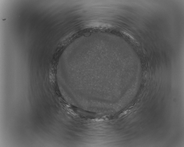 X0000074010869200609181832