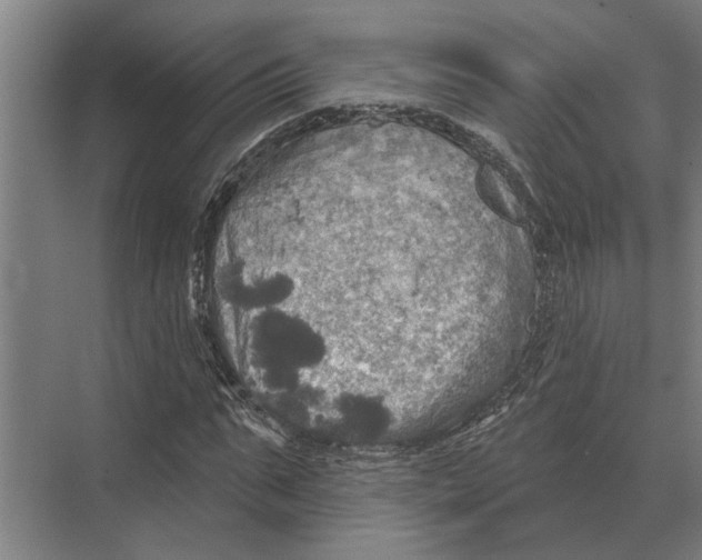 X0000074010871200609181831