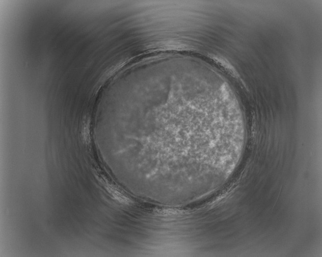 X0000074010873200609181831