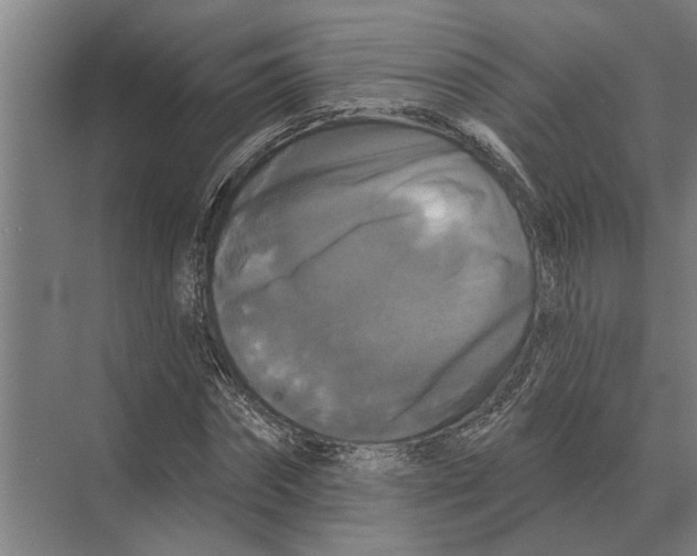 X0000074010874200609181831