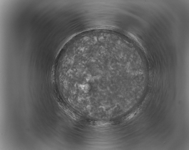 X0000074010875200609181831