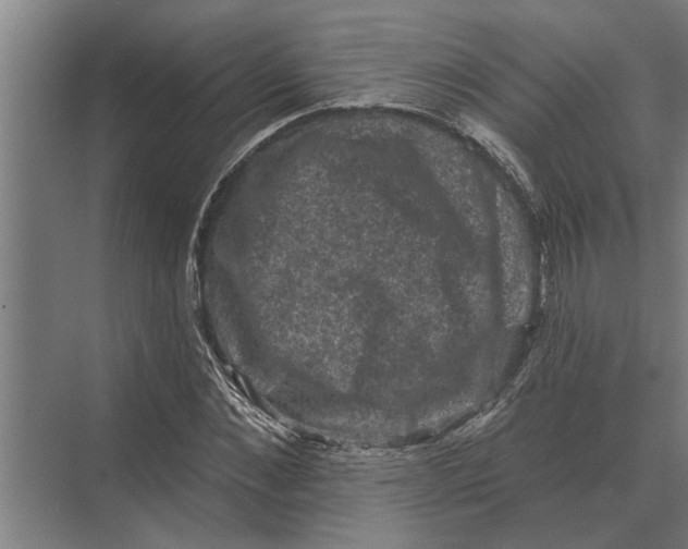 X0000074010876200609181831