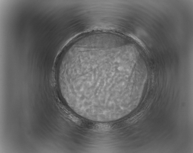 X0000074010878200609181831