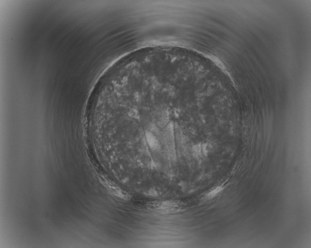 X0000074010879200609181831