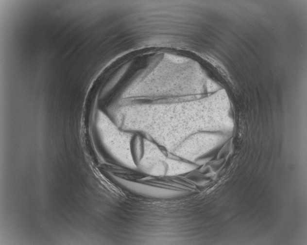 X0000074010880200609181831