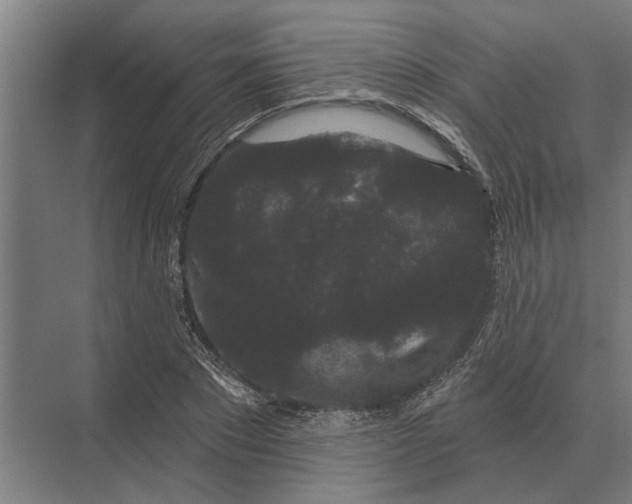 X0000074010881200609181831