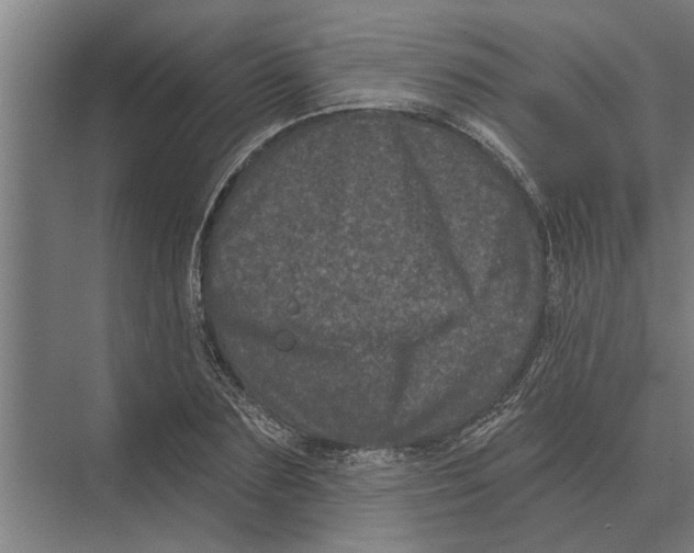 X0000074010883200609181831