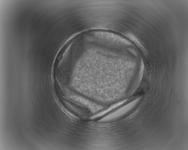 X0000074010884200609181831