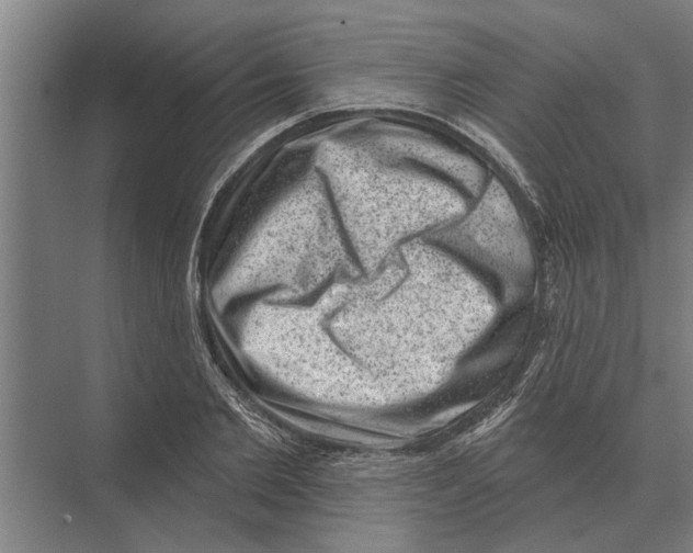 X0000074010885200609181831