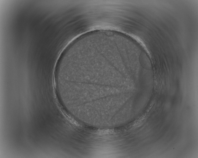 X0000074010887200609181831