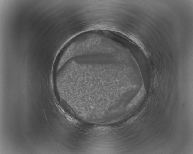 X0000074010888200609181831