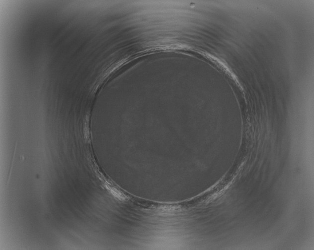 X0000074010889200609181831