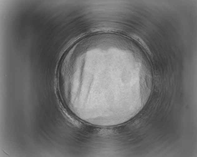 X0000074010890200609181831