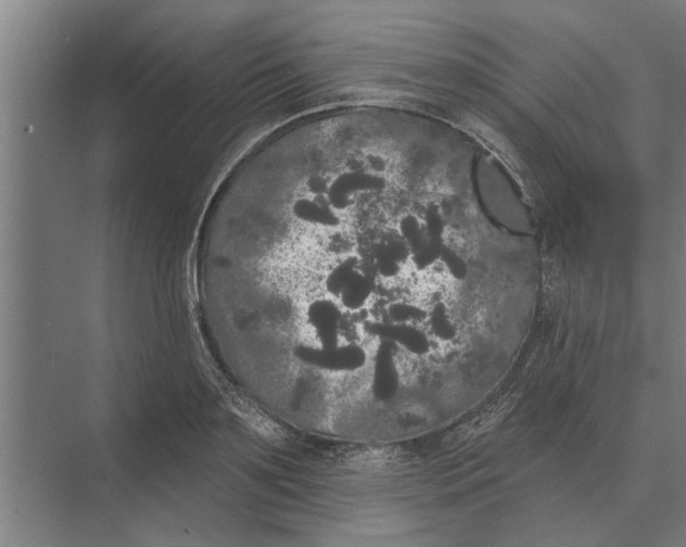 X0000074010891200609181831