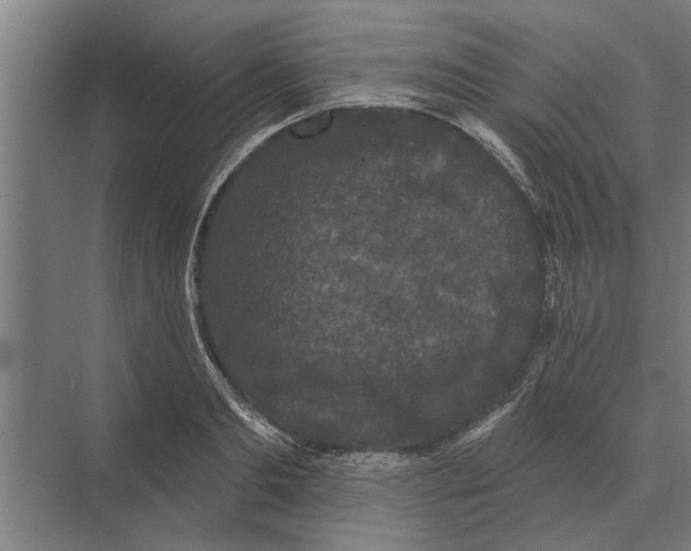 X0000074010893200609181831