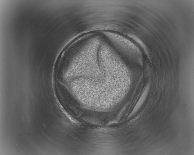 X0000074010894200609181831