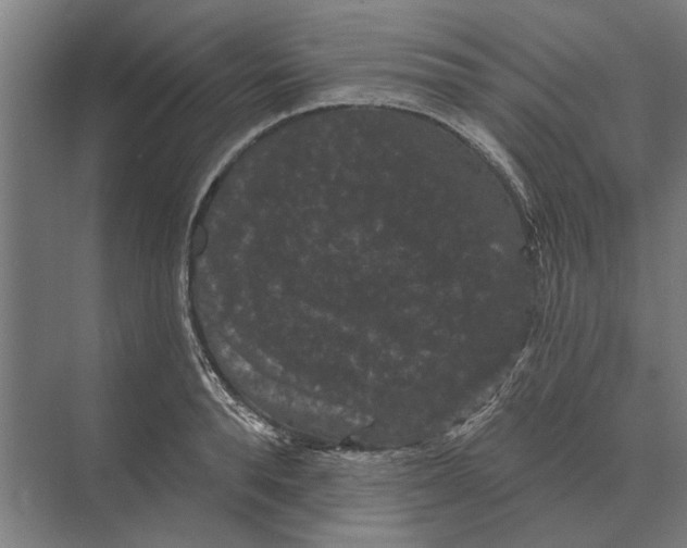 X0000074010896200609181831